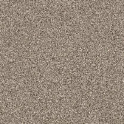 Trusolutions I