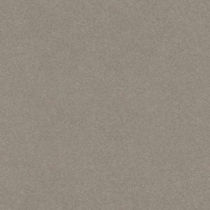 TONAL COMFORT II