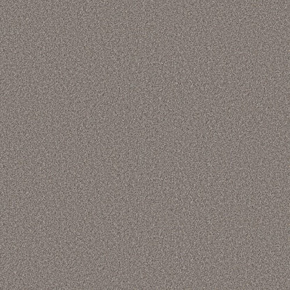 Wonderland Ii in Pier Carpet