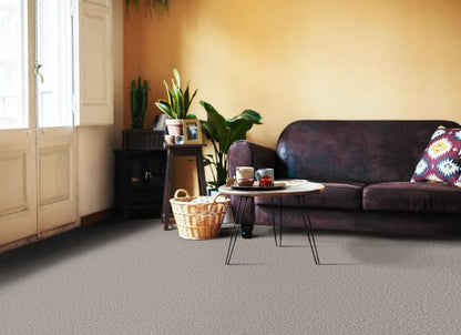 Wonderland Iii 15' in Pier Carpet