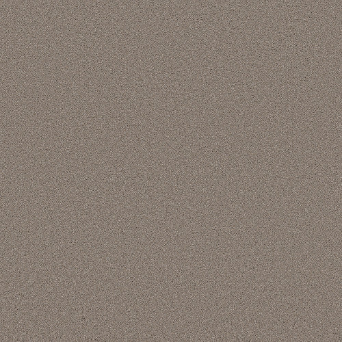 Blended Touch I in Mocha Carpet