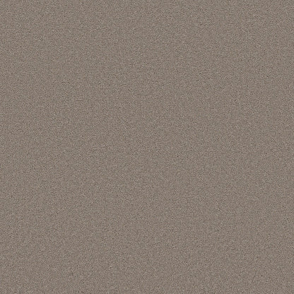 Blended Touch I in Mocha Carpet