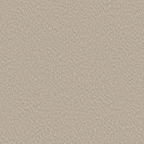 Alluring Canvas