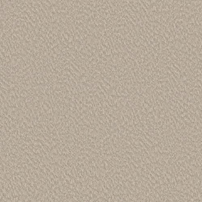 Alluring Canvas