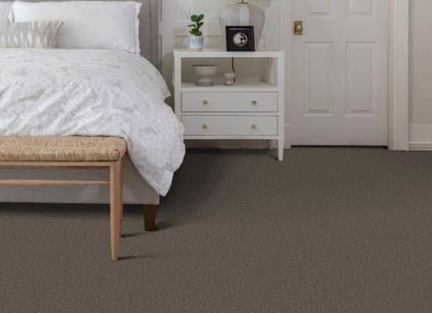 Velvet Touch I in Ashes Carpet