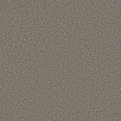 TWEED COMFORT I in Pop Star Carpet