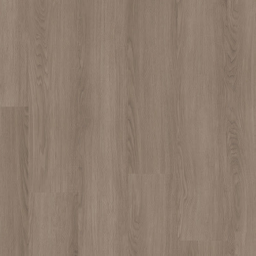 Pathways 6 in Timber