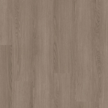Pathways 6 in Timber