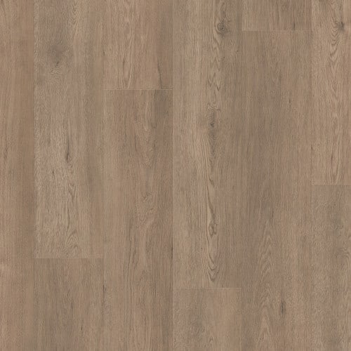 Paragon Hd Plus Nb in Winthrop Luxury Vinyl