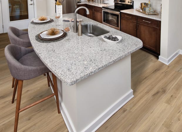 PARAMOUNT 512C PLUS in Wild Dunes Luxury Vinyl