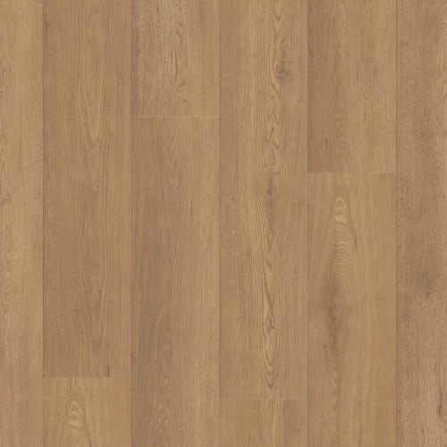 Paragon Hd Plus Nb in Davenport Luxury Vinyl