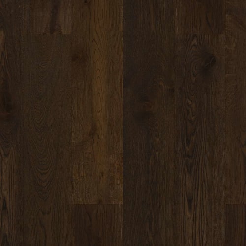 EXPRESSIONS in Coda Hardwood