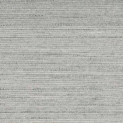 Baja in Ash Carpet