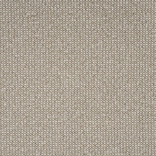 Biscayne in Canvas Carpet