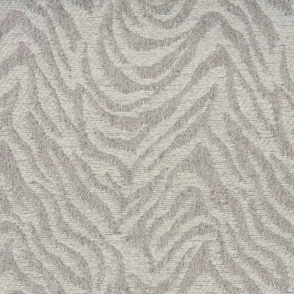 Natural Mountain Zebra