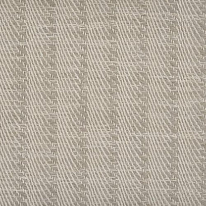 Ravishing Stripe in Taupe Carpet