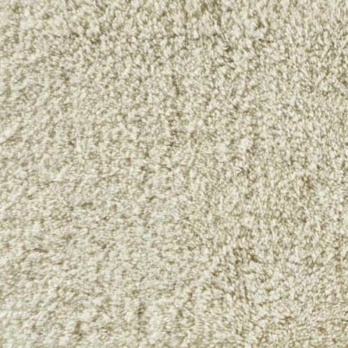 Sumptuous in Winter White Carpet