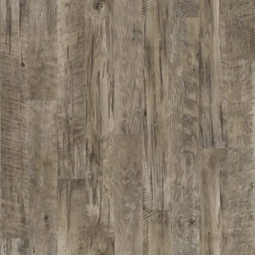 Black Mountain Oak in Coal - Gold Vinyl Sheet Goods