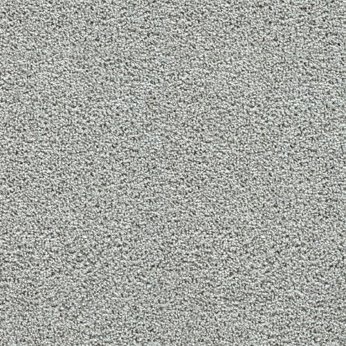 Captivating II in Chilly Night Carpet