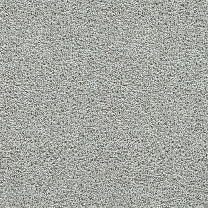 Captivating II in Chilly Night Carpet