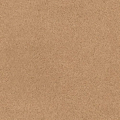 Tribute in Corvo Carpet