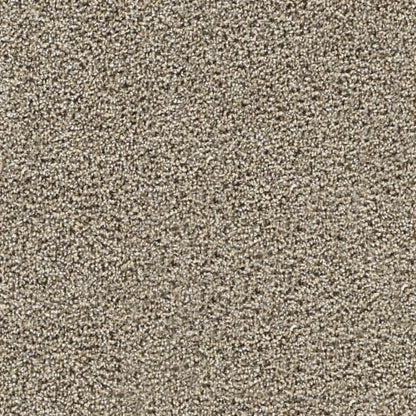 Captivating I in Pine Log Carpet