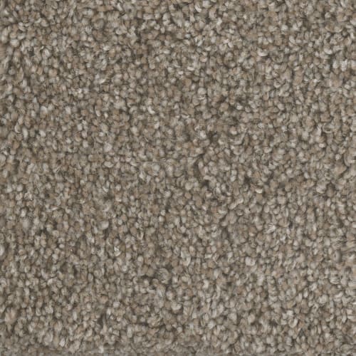 Mount Rainier I in Praire Sun Carpet