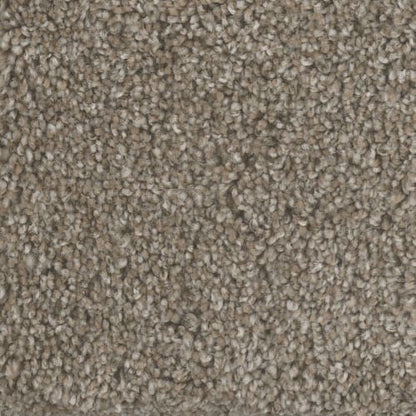 Mount Rainier I in Praire Sun Carpet
