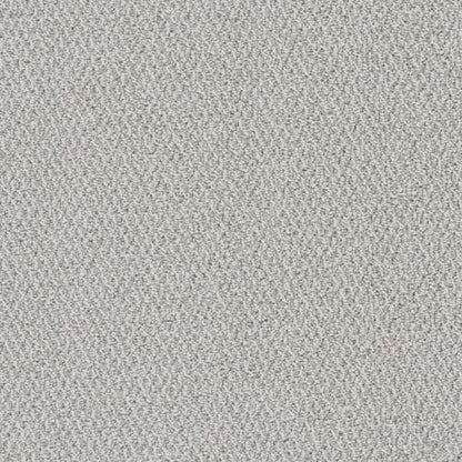Palazzo in Nautilus     Carpet