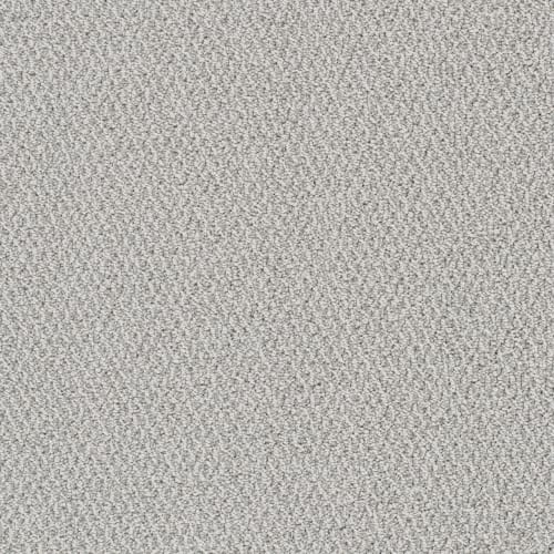 Palazzo in Nautilus     Carpet