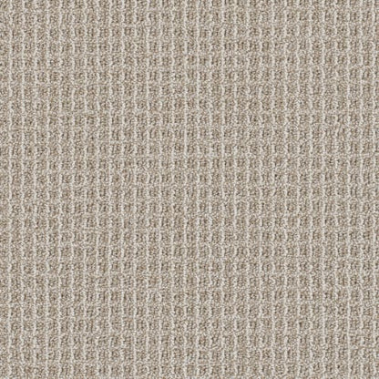 Valencia in Capri Carpet