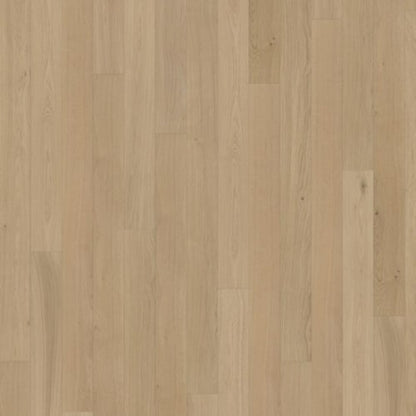 Canvas Collection in Oak Fawn