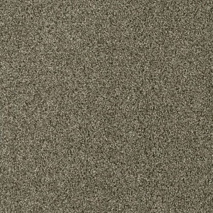 Acclaim in Monaco Carpet
