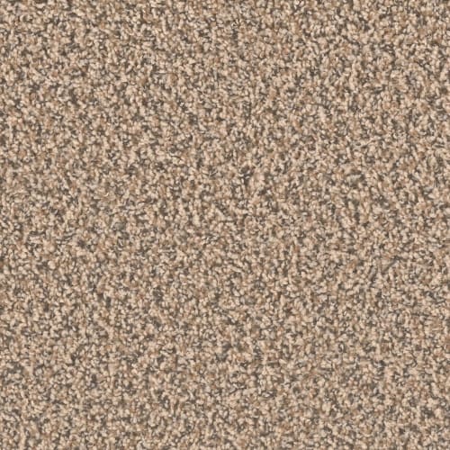Ascend in Ironside Carpet