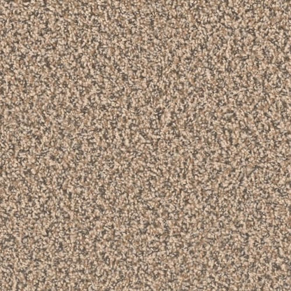 Ascend in Ironside Carpet