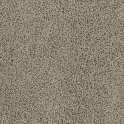 Pinto II in Carbon Crystals Carpet