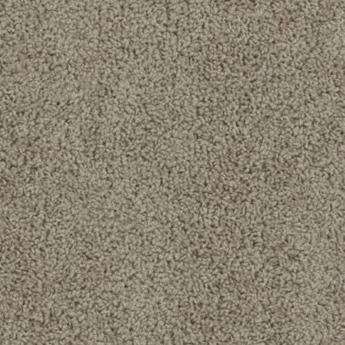 Pinto II in Carbon Crystals Carpet