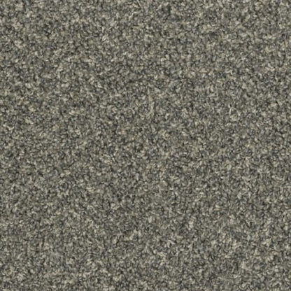 Columbia in Belle Grove Carpet