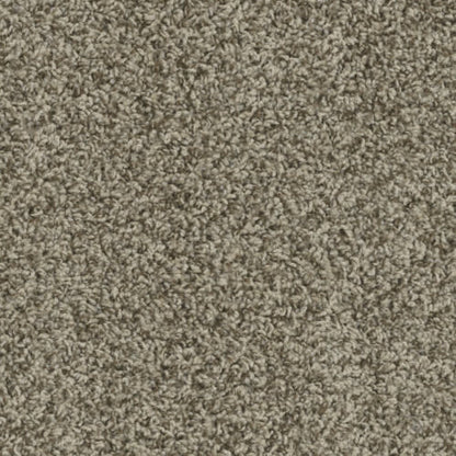 Wolverine in Shimmer Carpet