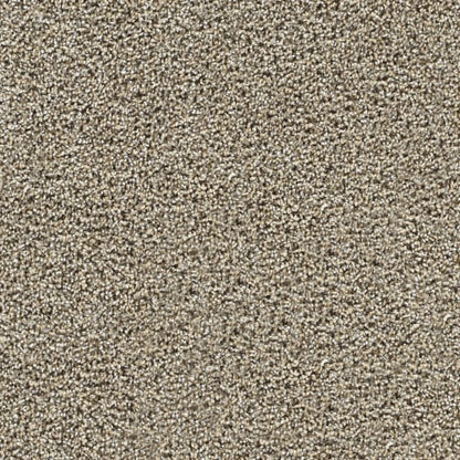 Captivating III in Pine Log Carpet