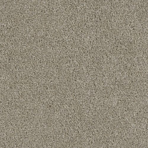 Accolade in Vela Carpet