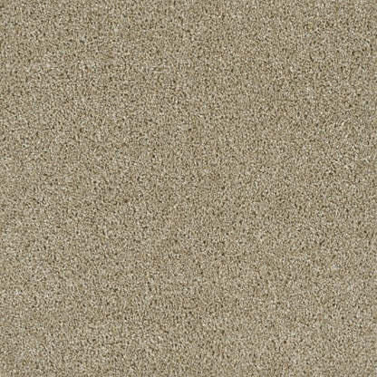 Rave Review in Outback Carpet