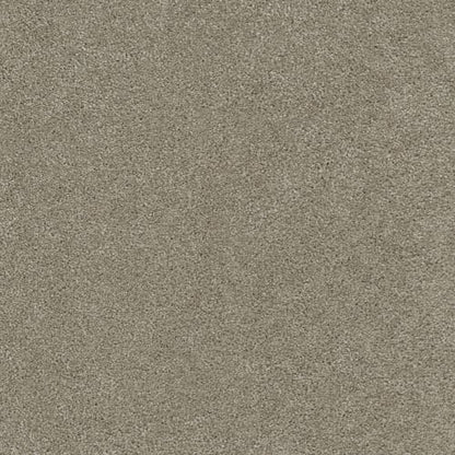 Coronado III in Warm Teak Carpet