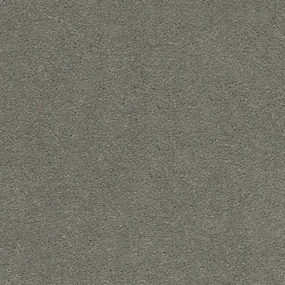 Laramie I