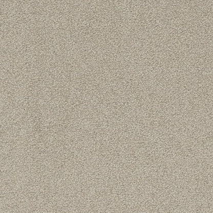 Laramie II in Olivewood Carpet