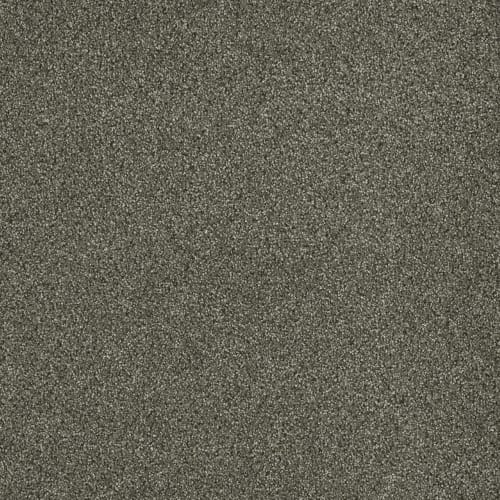 Newport I in Baltic Birch Carpet