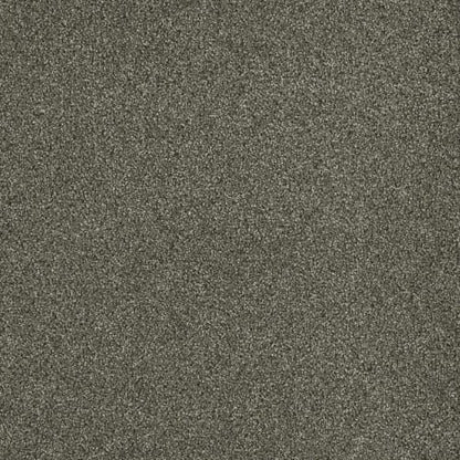 Newport I in Baltic Birch Carpet
