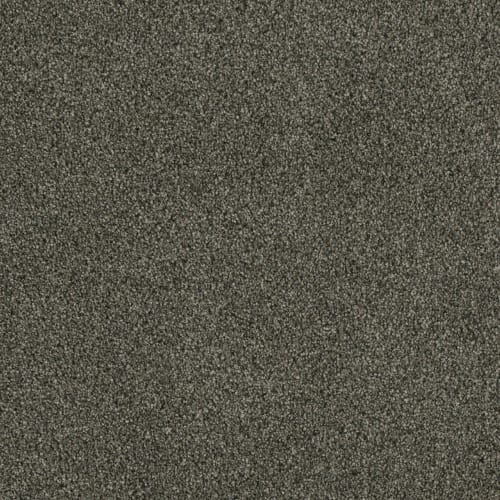 Profound I in Midnight Shadow Carpet
