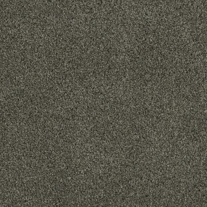 Profound I in Midnight Shadow Carpet
