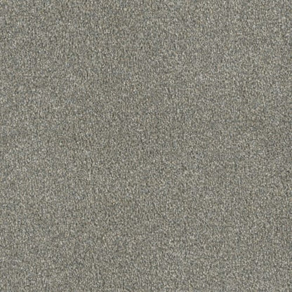 Profound II in Sandy Trail Carpet